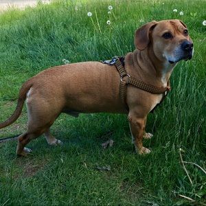 Meet your Posher, Emma